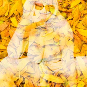 ginlustigphotosWP(177)